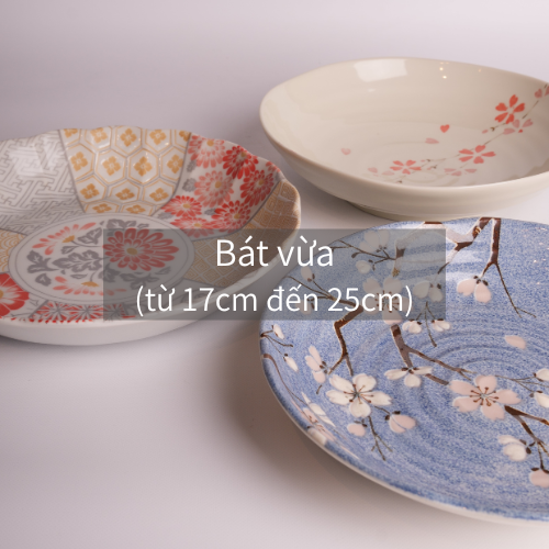 Bát vừa (từ 17cm đến 25cm)