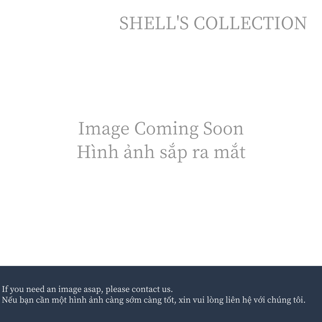 Dĩa tám cạnh men xanh đậm 23cm