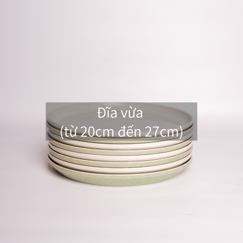 Đĩa vừa (từ 20cm đến 27cm)