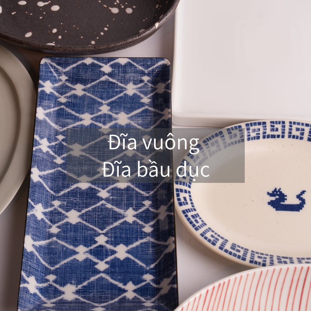 Đĩa vuông / Đĩa bầu dục